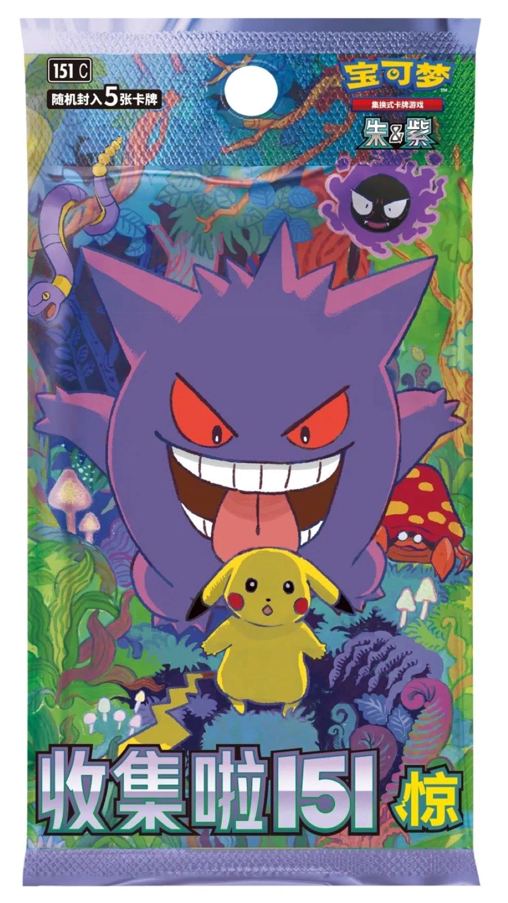 Pokémon TCG: Chinese Collect 151 Slim Box - Surprise