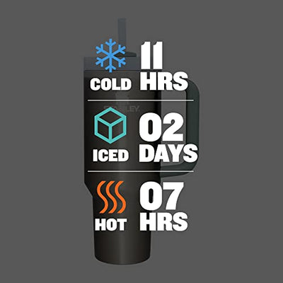 Stanley Quencher H2.0 FlowState Tumbler