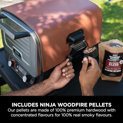Ninja Woodfire Electric Outdoor Oven OO101UK