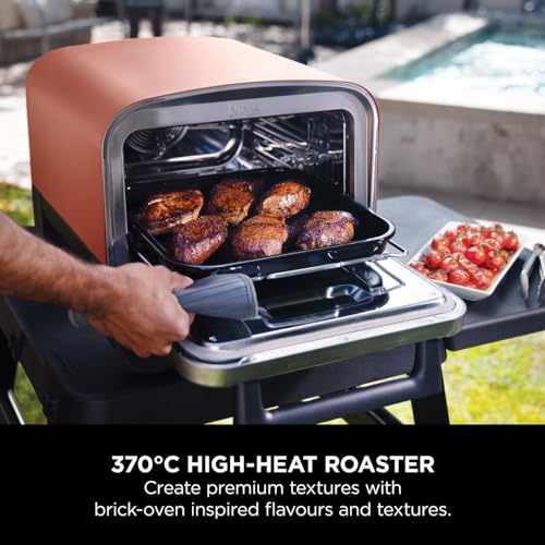 Ninja Woodfire Electric Outdoor Oven OO101UK