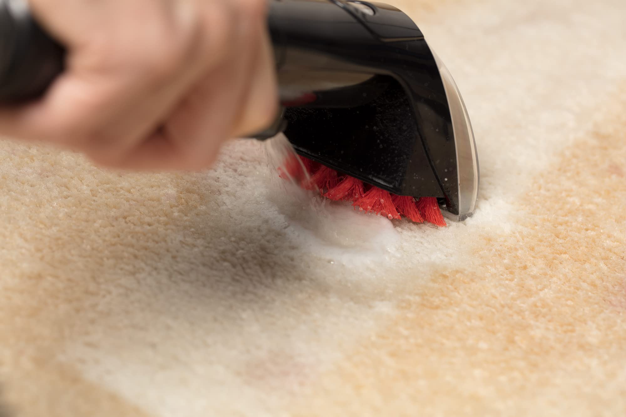 BISSELL SpotClean Pet