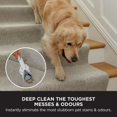 Shark CarpetXpert Deep Clean Carpet Cleaner EX200UK