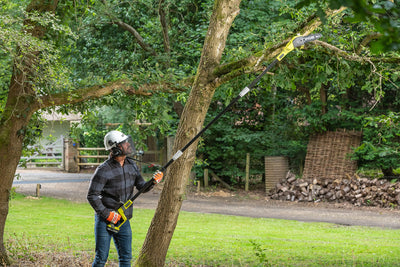 Ryobi ONE+ 18V Cordless Pole Pruner RPP182020